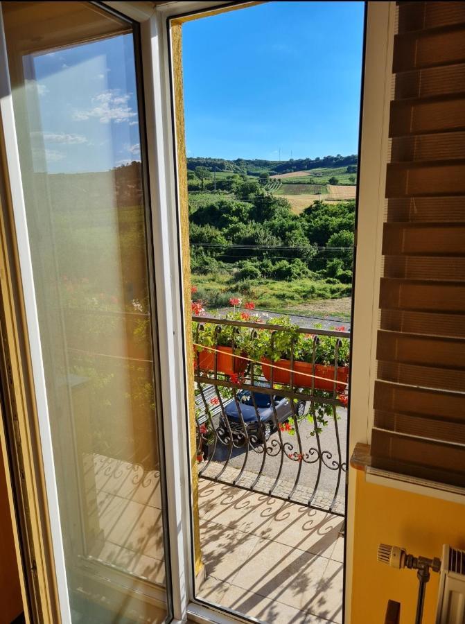 Vila Belilo Sremski Karlovci Exterior foto